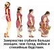 Без описания