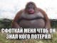 предыдушее фото