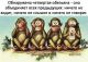 Без описания
