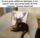 Без описания