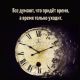 Без описания
