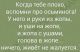 предыдушее фото