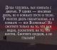 предыдушее фото