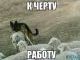 на работе