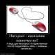 Без описания