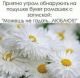 Без описания