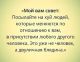 следующее фото