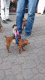 1505660816_6561.gif