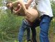 Без описания