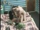 Без описания