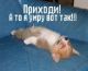 предыдушее фото