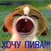 Без описания