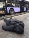 Остановка общественного транспорта после обстрела украинскими карателями