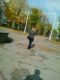 Без описания