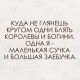 предыдушее фото