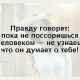 Без описания