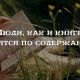 Без описания