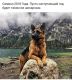 Без описания
