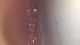1514286813_8873.jpg