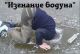 Без описания