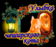 предыдушее фото