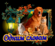 Без описания