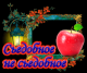 Без описания