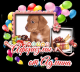5ec2dd6d85ff62.769913671589828973_5ec2dd6d860060.21399076.png