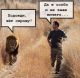 Без описания