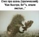 Без описания