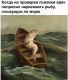 Без описания