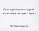 следующее фото