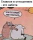 следующее фото