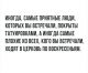 следующее фото