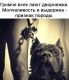 Без описания