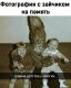 Без описания