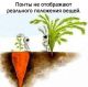Без описания