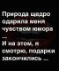 Без описания