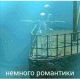 Без описания