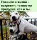 Без описания
