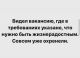 Без описания