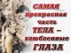 Без описания