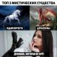 Без описания