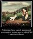 Без описания