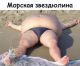 Без описания