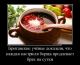 Без описания
