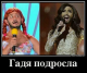 Без описания