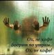Без описания