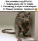 Без описания