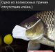 Без описания